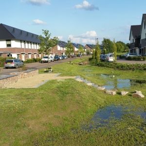 De bomen en het bos van nieuwe ambities, regels en meten